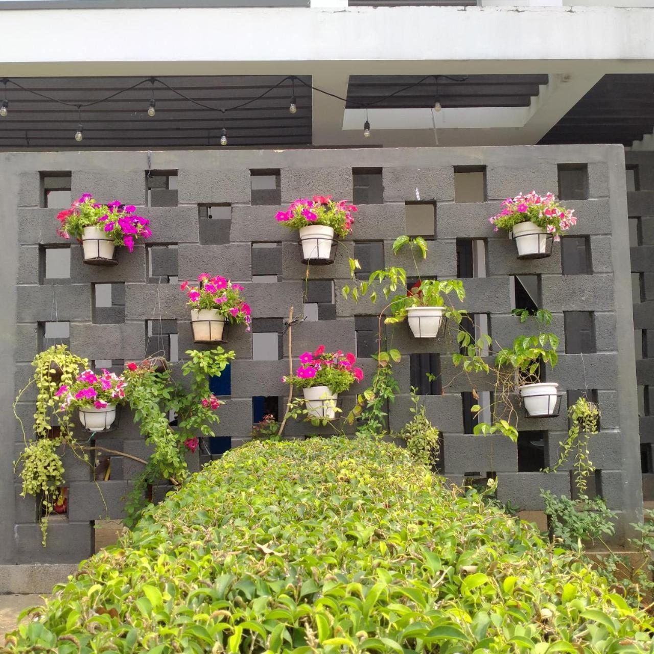 Eco Green Villa - Oceanami - Long Hải - 3&4 Phòng Ngủ Esterno foto